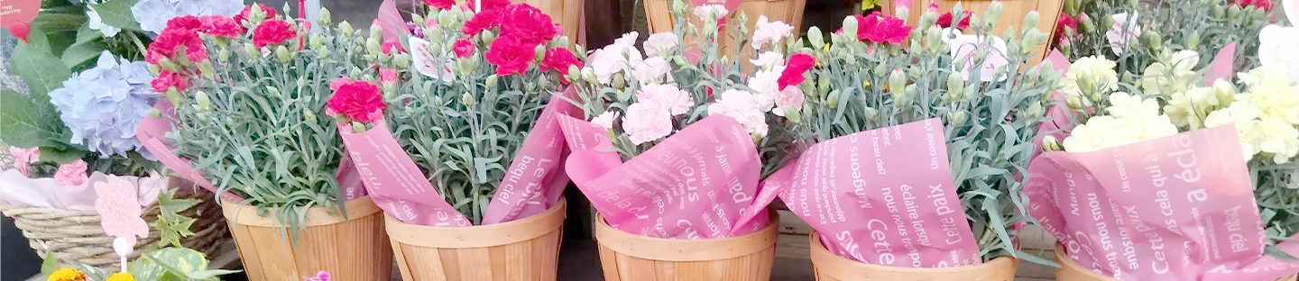 店舗・イベント装飾